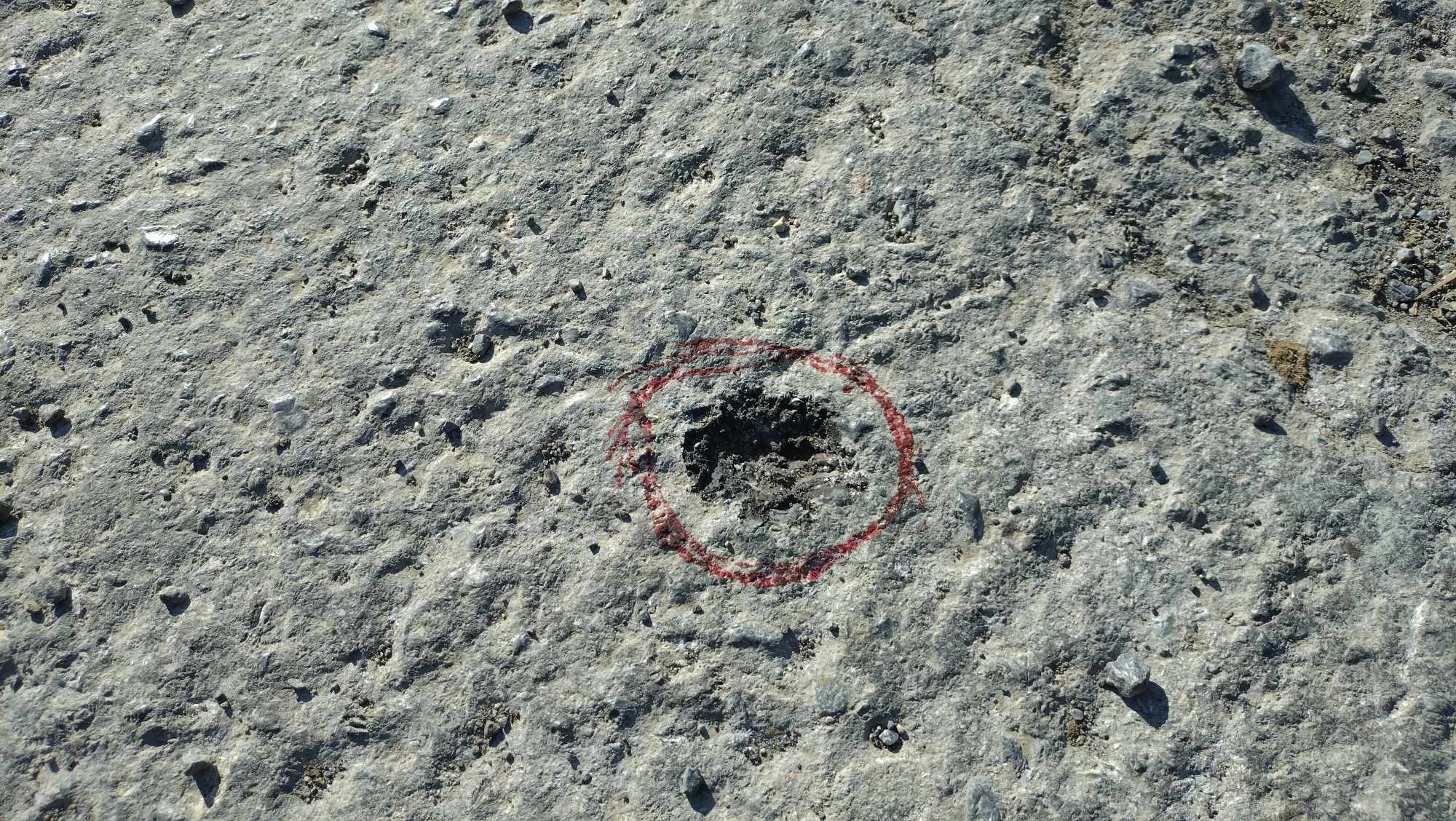 Τσιφούτ Καστέλι