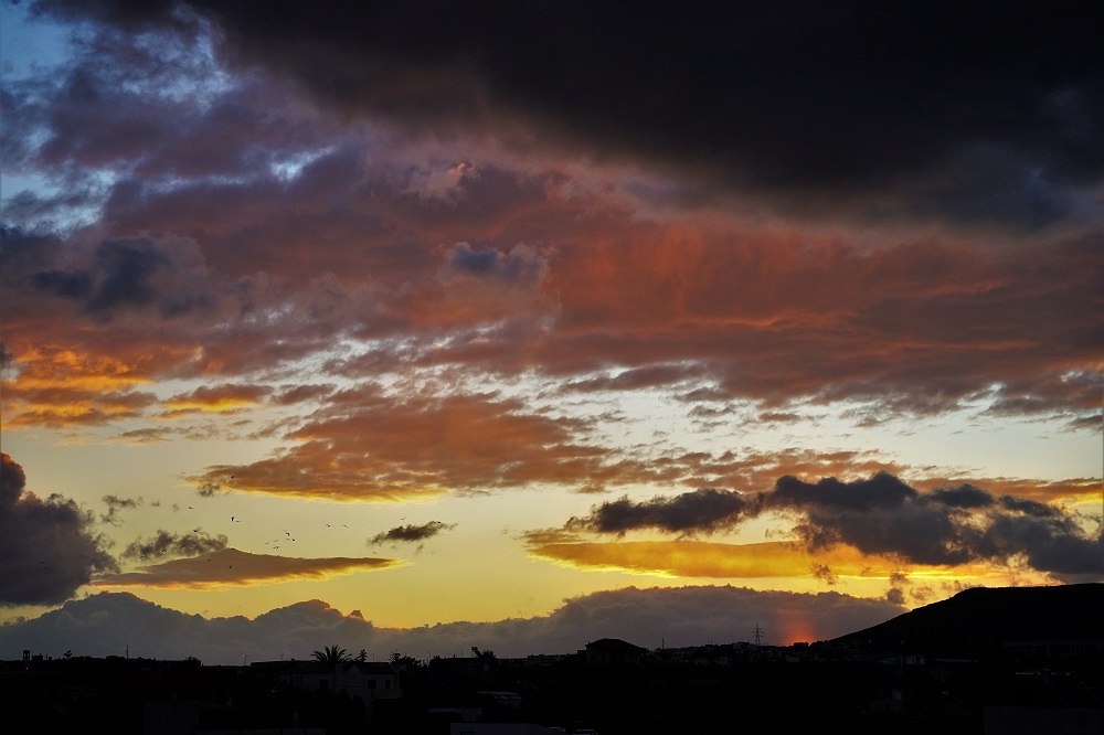 Ανατολή χειμώνας Σωτήρης Τζιγκουνάκης