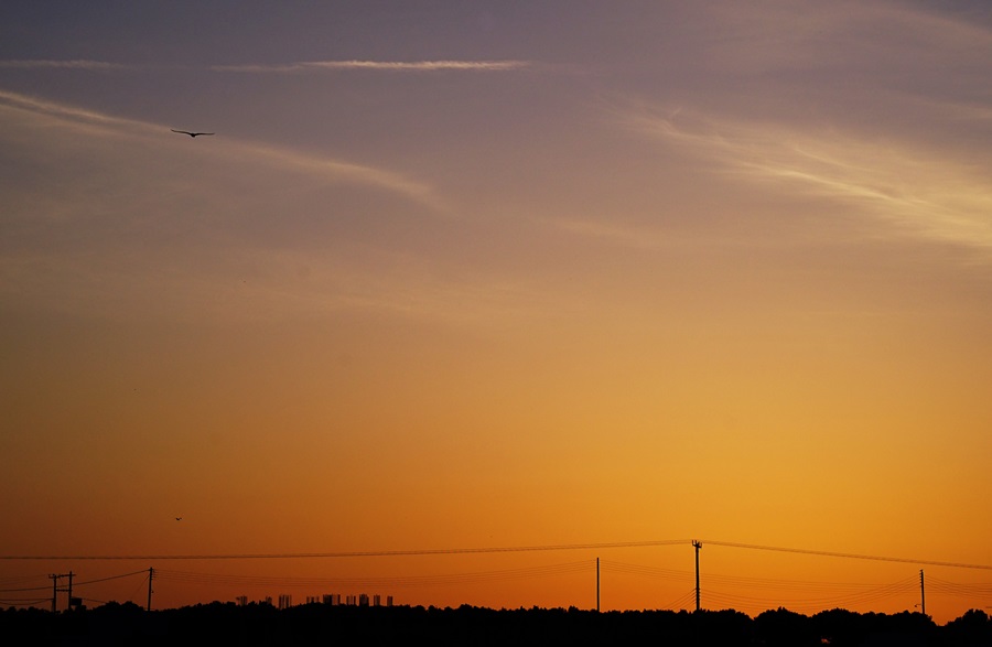 Ανατολή Τζιγκουνάκης