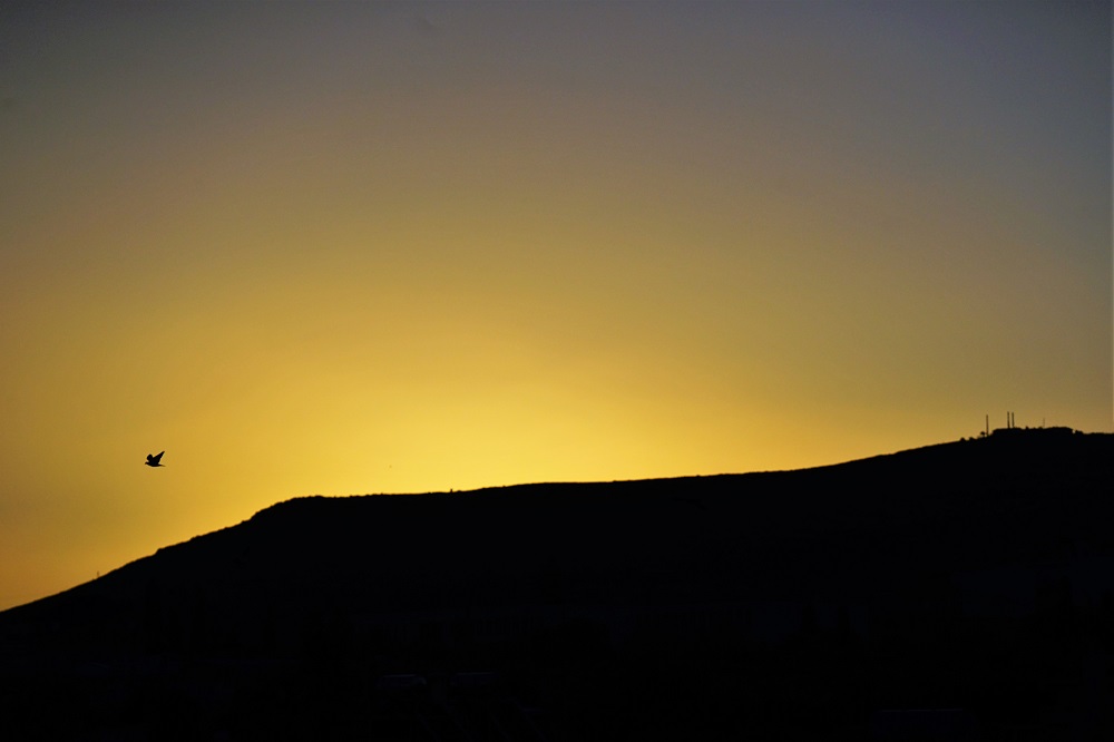 Ανέφελη ανατολή Σωτήρης Τζιγκουνάκης