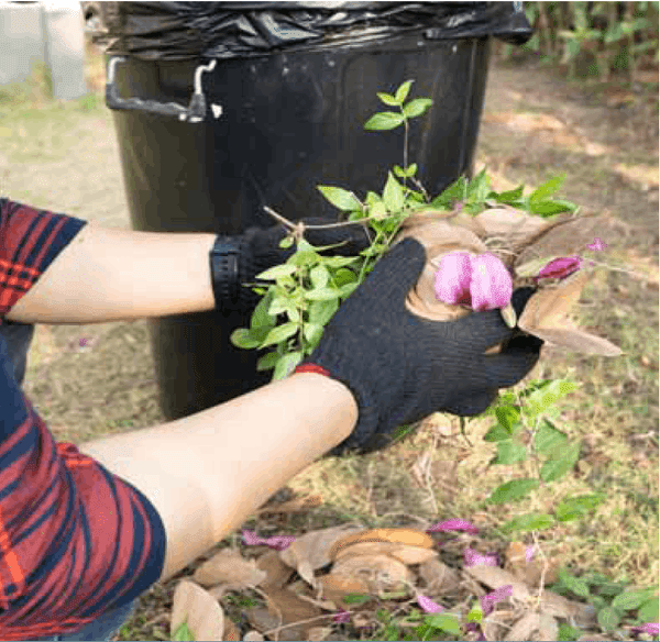 Βιοαπόβλητα