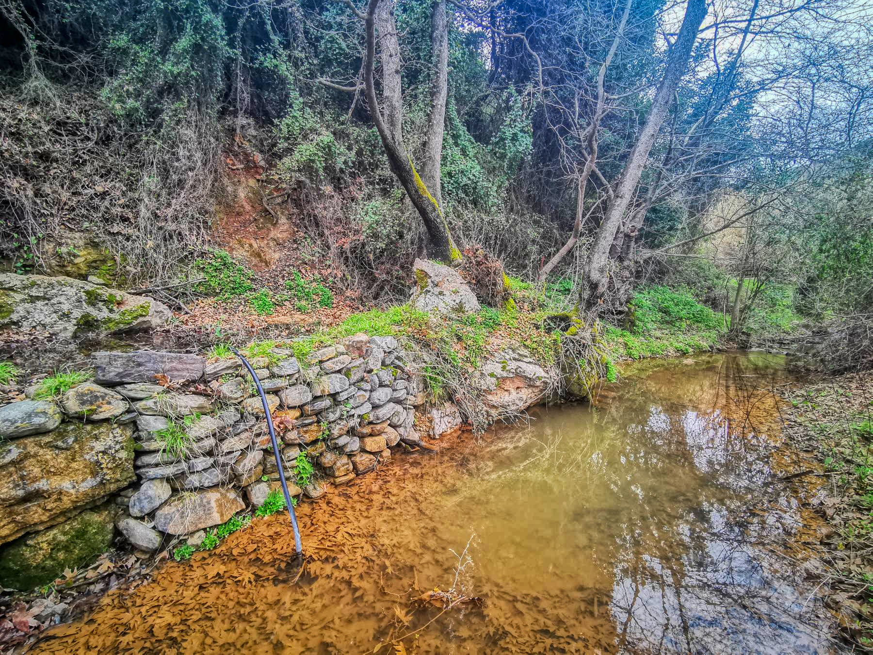 Δρόμοι Ζωής Κέρη Ηράκλειο εξόρμηση