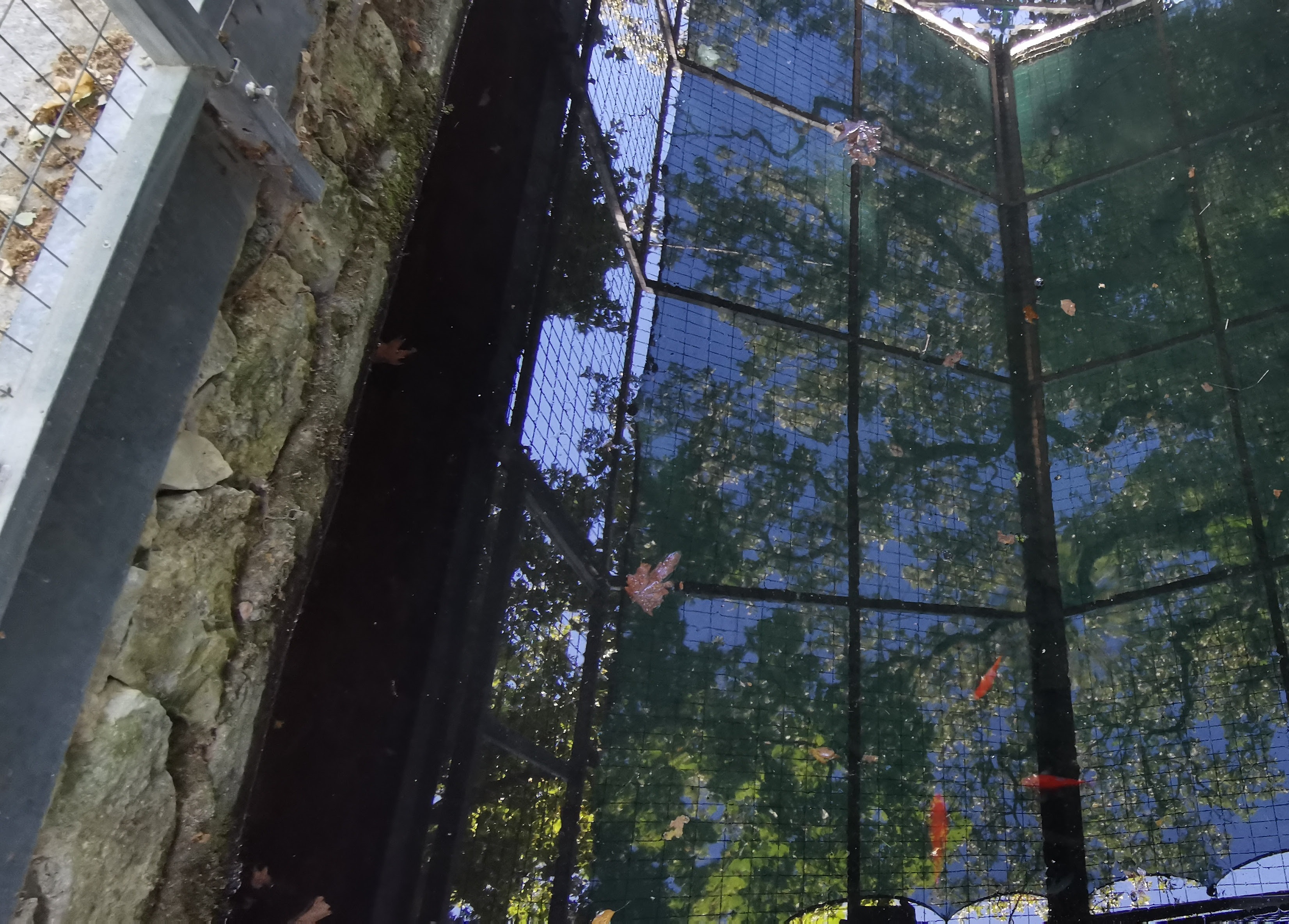 Μια πηγή με τρεχούμενο νερό στο Ρέθυμνο