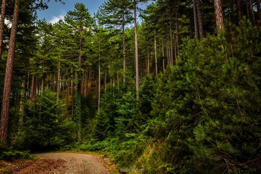  Βάλια Κάλντα