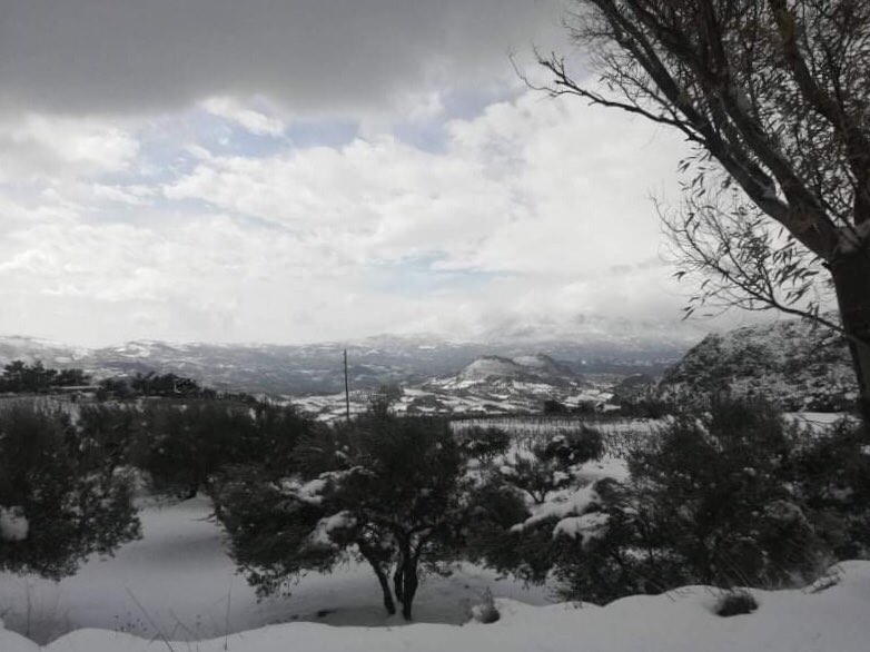 Βασιλειές χιόνια