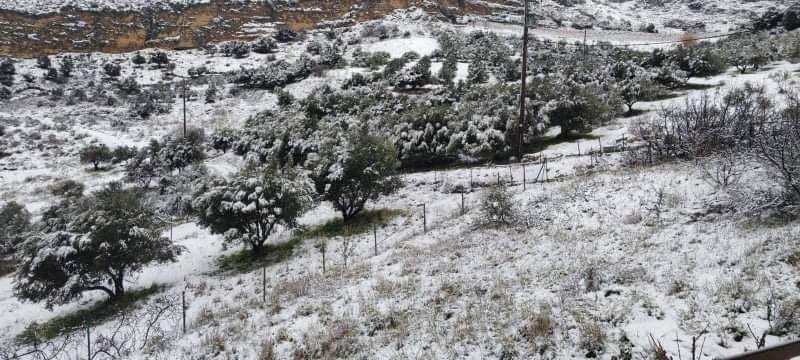 Βασιλειές χιόνια