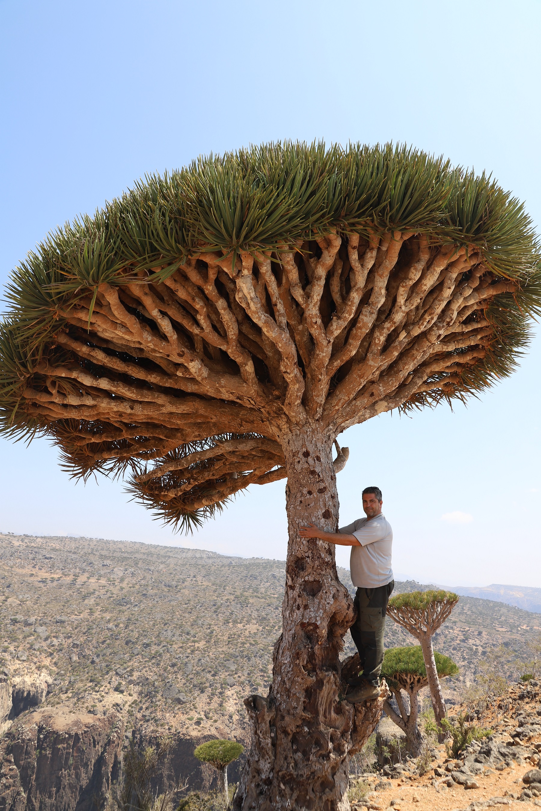 Χειλαδάκης Υεμένη