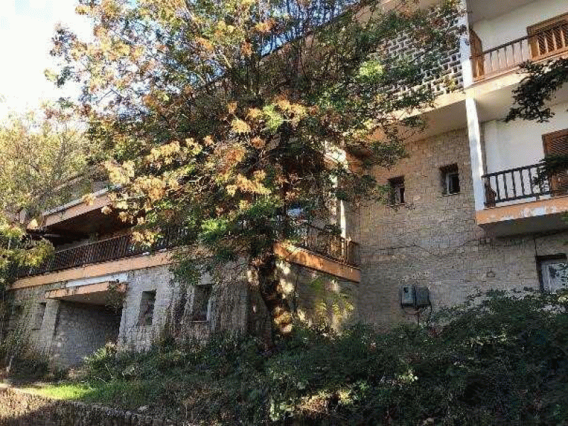 Ξενία Καλεντζίου