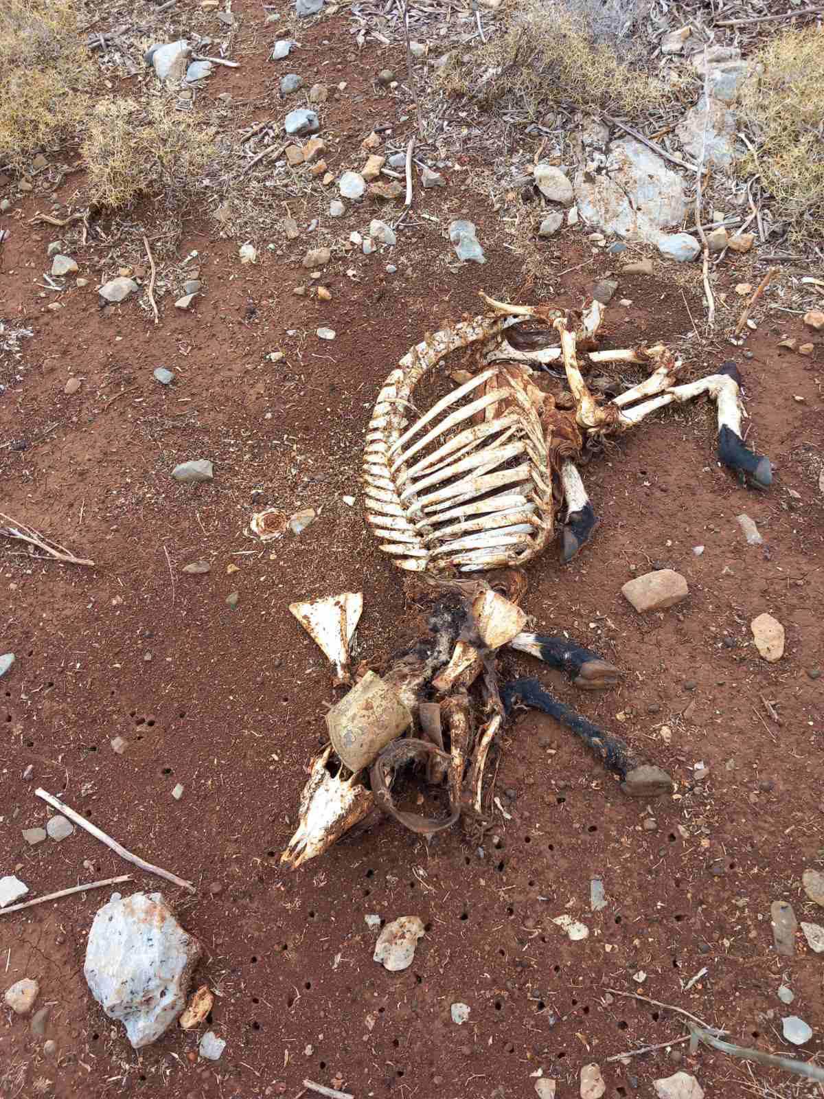 Χερσόνησος 