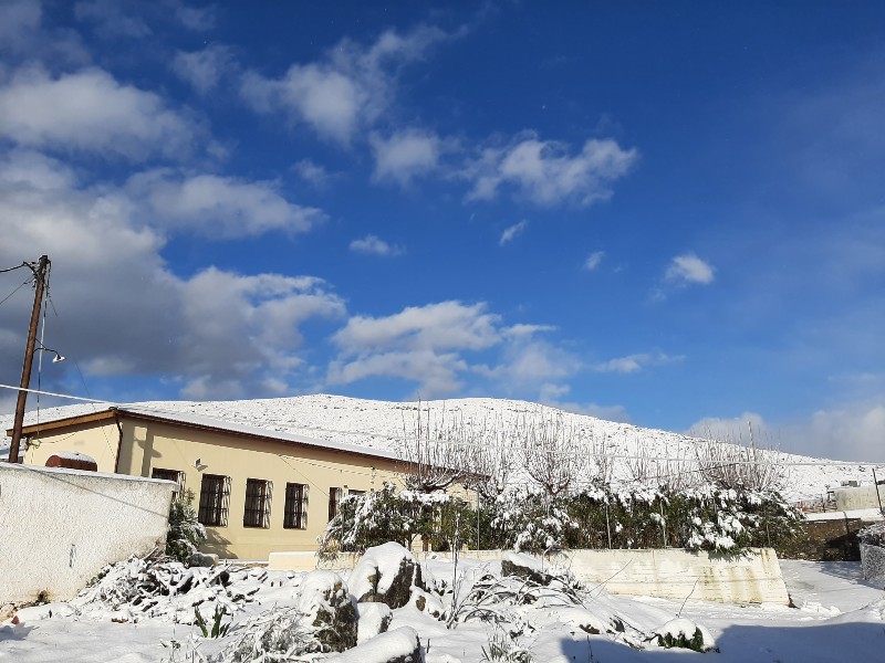  Αποστόλοι Δήμου Μινώα