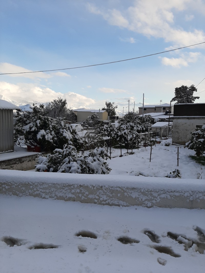  Αποστόλοι Δήμου Μινώα