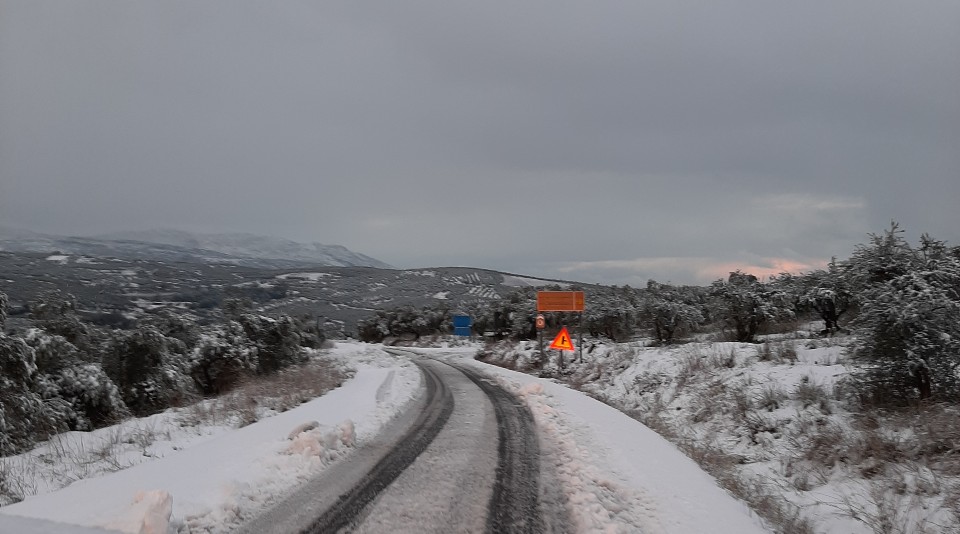 χιονια διακλάδωση Αγκαράθου