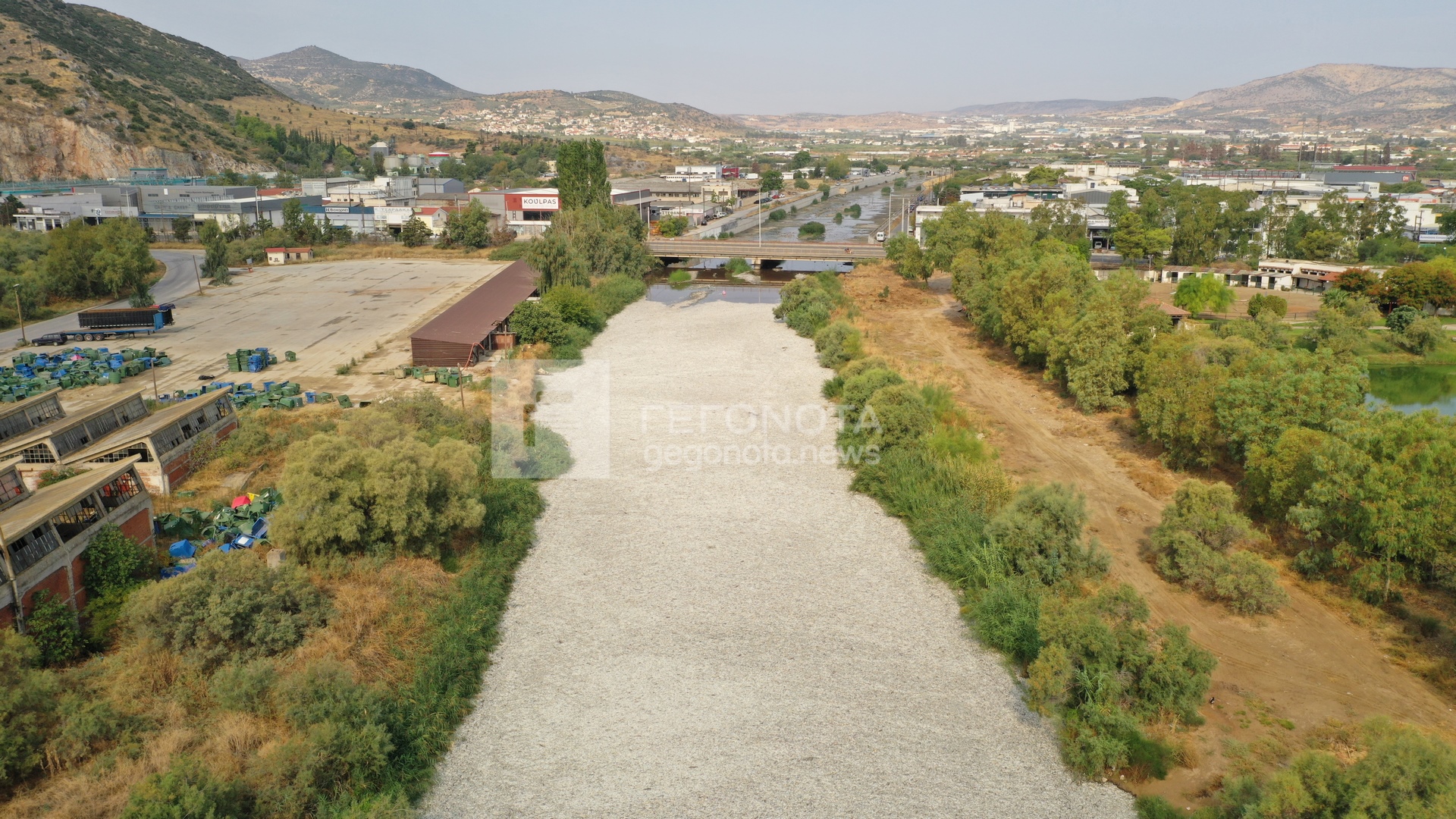 ΝΕΚΡΑ ΨΑΡΙΑ ΒΟΛΟΣ