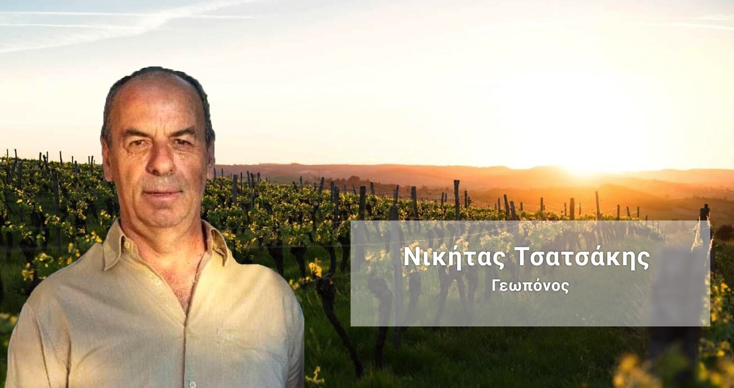 Ν. Τσατσάκης: “Προσφέρουν στο φυτό τη μέγιστη δυνατή βοήθεια με σημαντικό οικονομικό όφελος”