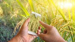 Καλή η... μετάβαση, αλλά με τις πληρωμές τι θα γίνει;