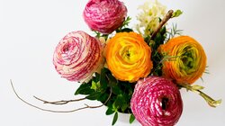 Εορτολόγιο: Ποιοι γιορτάζουν σήμερα 26 Φεβρουαρίου