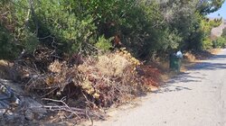 Πτώσεις δέντρων και κλειστοί δρόμοι στα Χανιά λόγω θυελλωδών ανέμων