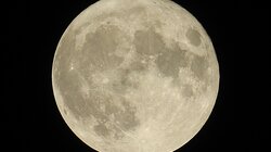 Πανσέληνος