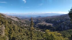 kyparissodasos fysi crete dasos