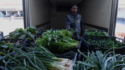 Κηπευτικά, Αγορά