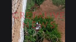 Φυλακές Αλικαρνασσου Εξωτερικος χώρος