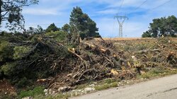 οικοπεδα καθαρισμοι