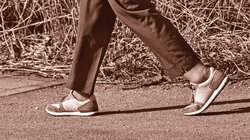 Βάδισμα, Εγκέφαλος