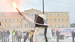 μελισσοκόμοι