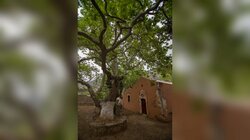 Agios Ioannis Rodopou