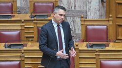 Χρίστος Δήμας, Βουλή