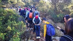 Δρόμοι Ζωής, πεζοπορία