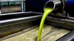 Ελαιουργείο, Ελαιόλαδο