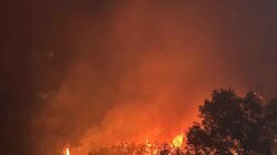 φωτιά χανια