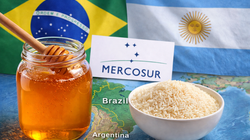 mercosur