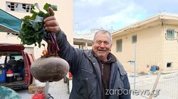 παντζάρι χανιά