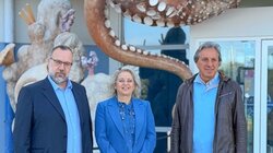 Δωρεάν οικογενειακές δράσεις από την Περιφέρεια Κρήτης και το ΕΛΚΕΘΕ: Μικροί και μεγάλοι γίνονται «πρεσβευτές» της θάλασσας