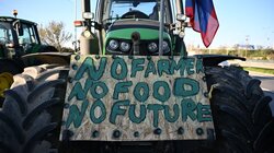 Πράσινα Φανάρια