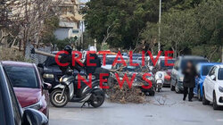 πτώση-δεντρο-Ηρακλειο