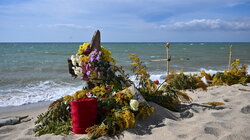 metanastes protothema