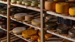 Τυροκομικά προϊόντα