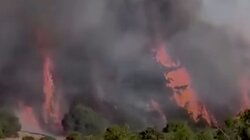 Χιλή: Τουλάχιστον 16 νεκροί από τις πυρκαγιές