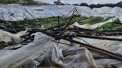 Ανεμοστρόβιλος, Θερμοκήπια, Ζημιές