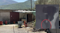 Βιλανδρέδο