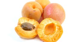 Αυτό το γλυκό φρούτο μειώνει την πίεση