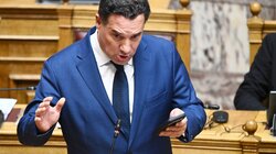 Άδωνις Γεωργιάδης, Βουλή