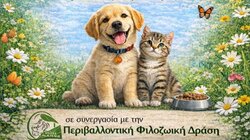 Χανιά: "Ημέρα Υιοθεσίας" στον Δήμο Πλατανιά