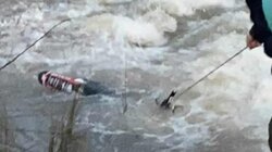 Κυνηγοί έσωσαν μοτοσικλετιστή που παρασύρθηκε από ορμητικά νερά