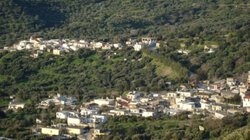 Μάρθα Βιάννου