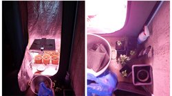 Λασίθι: Καλλιεργούσε κάνναβη, είχε και παραισθησιογόνα μανιτάρια!