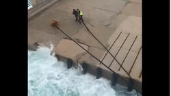 Πλοίο κάρπαθος